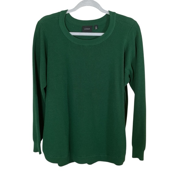 Cyrus Women’s Green Scoop Neck Sweater. Size 1X - Picture 1 of 4